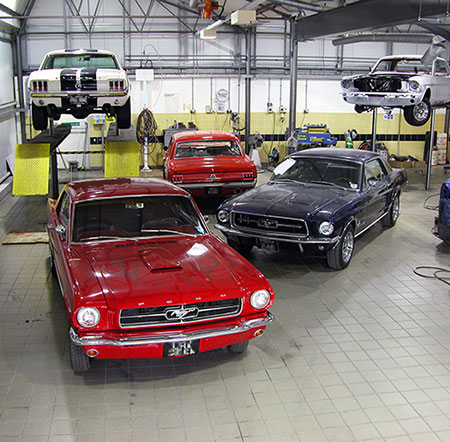 Our workshop filled with Mustangs.